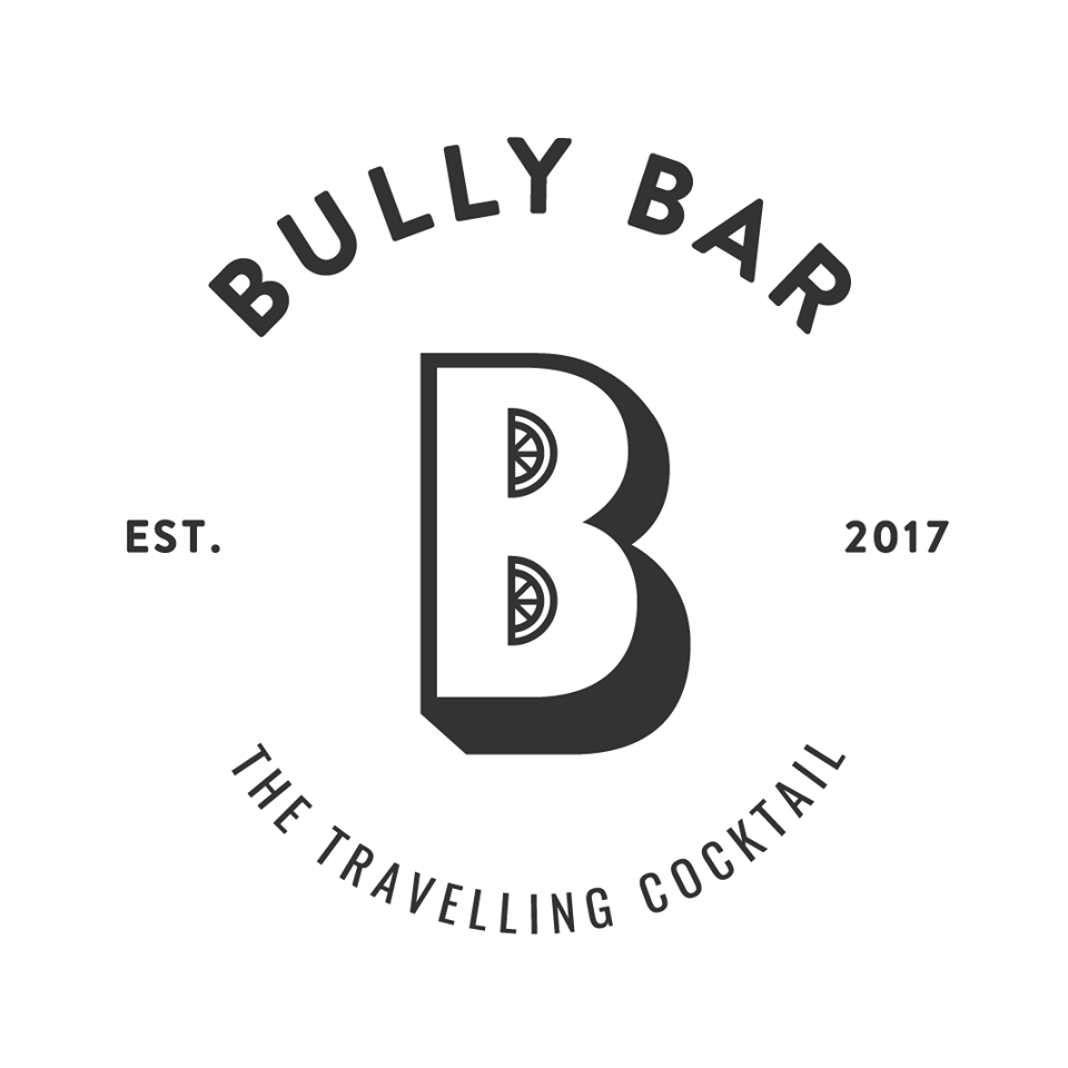 Bully Bar